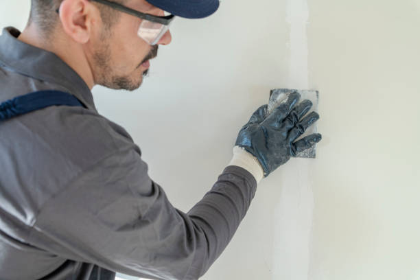Forensic Mold Investigation in Daleville, IN