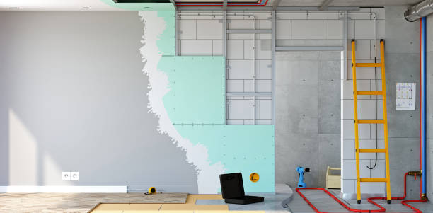 Best Mold Odor Removal Services  in Daleville, IN