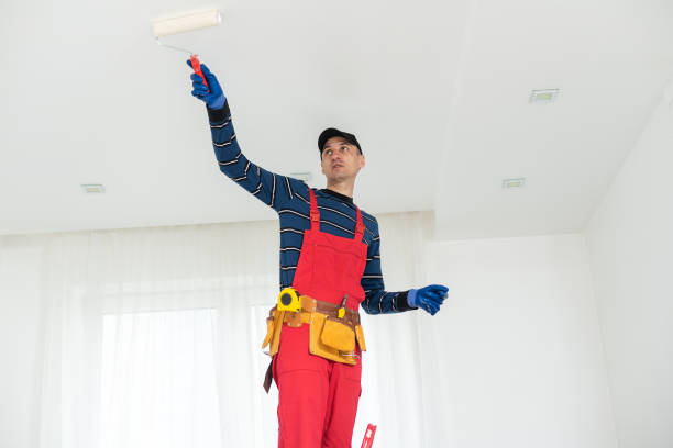 Best HVAC Mold Inspection and Cleaning  in Daleville, IN
